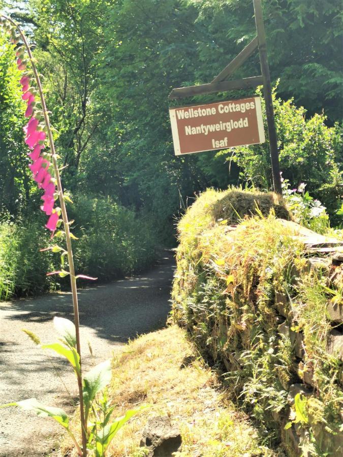 Wellstone Cottages - Honey Coach House Llanfyrnach Eksteriør bilde